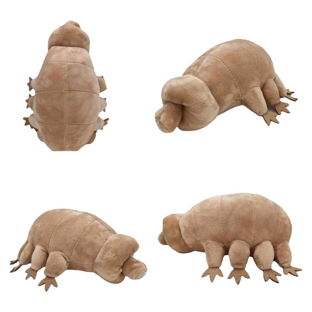 25cm Bärtierchen Kuscheltier Plüschtier